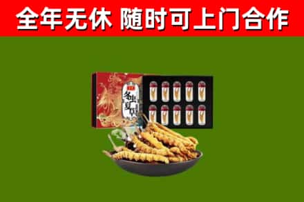 当阳市烟酒回收冬虫夏草礼盒.jpg