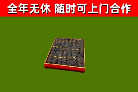当阳市回收海参